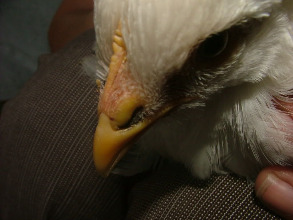 DSCF0100.jpg