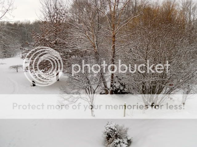 DSCN0054.jpg
