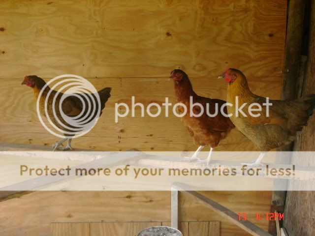 DSC00902.jpg