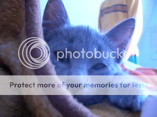 DSCN1020.jpg