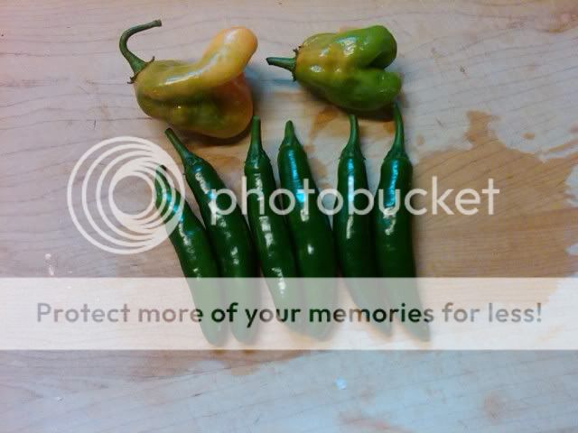 utf-8BSU1HMDAyMjgtMjAxMTA3MTAtMTAyMC5qcGc.jpg