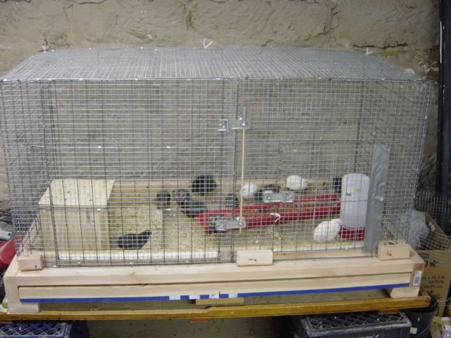 DSC03673.jpg