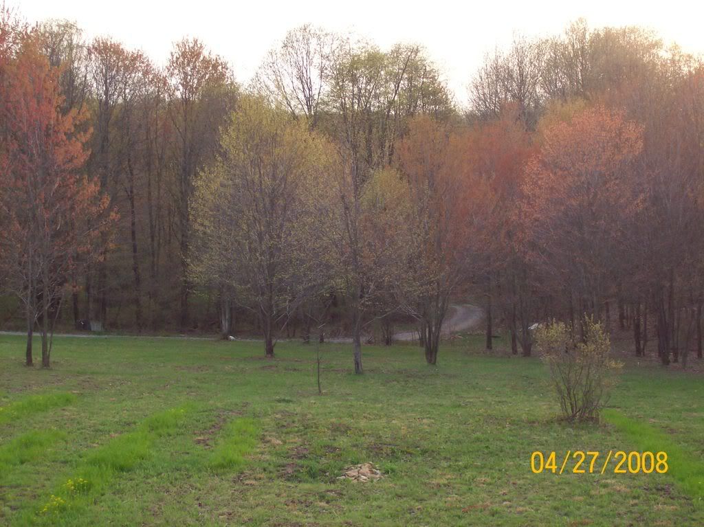 042808038.jpg