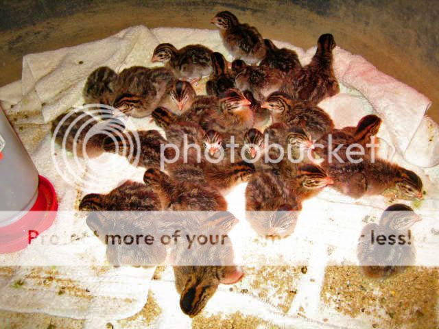 IMG_0593_edited.jpg