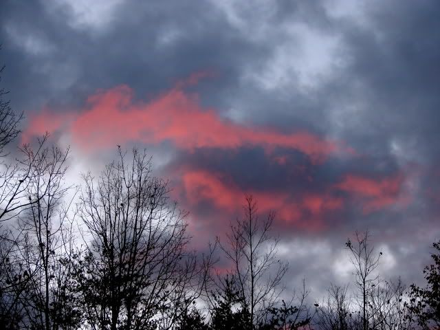 DSC02907.jpg