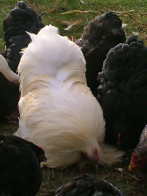 DSCF2569.jpg
