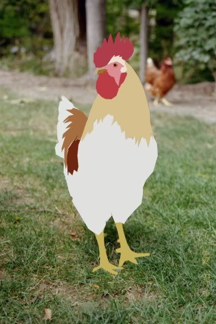 Roo.jpg