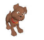 Moving-picture-puppy-dog-rolls-over-plays-dead-animated-gif.gif
