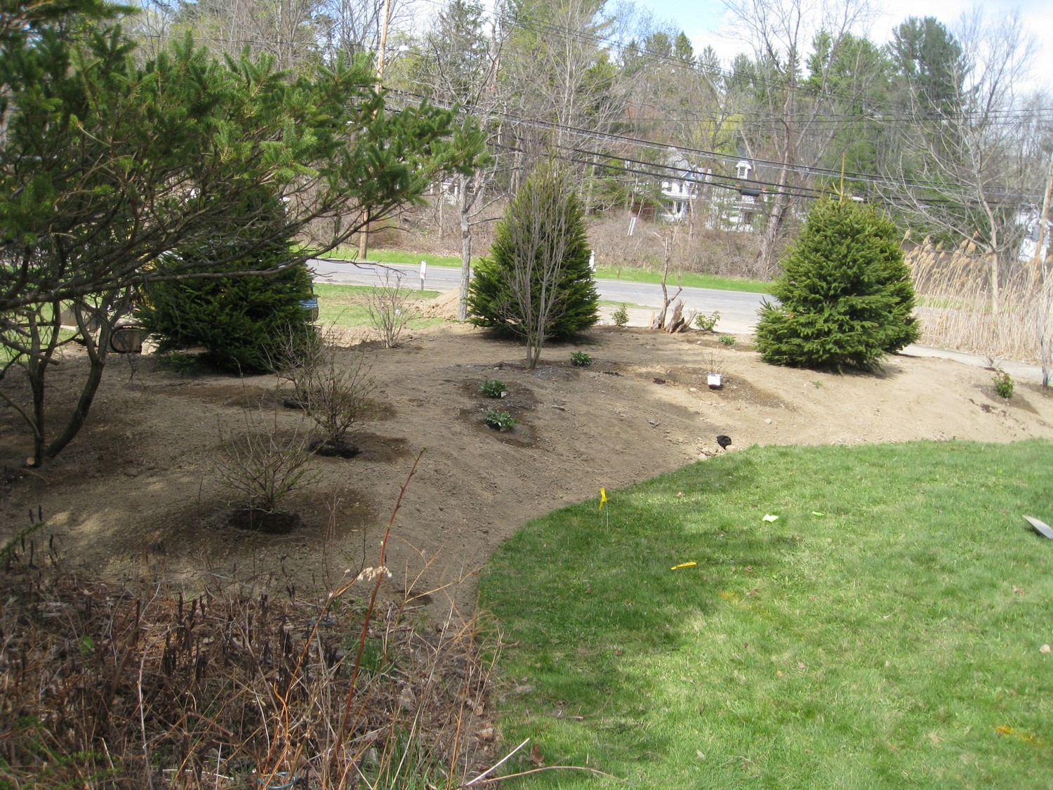 Albany-Delmar-NY-landscape-design-planning.jpg