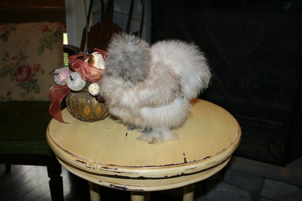 porcelains053.jpg