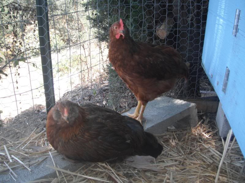 DSCF1214.jpg