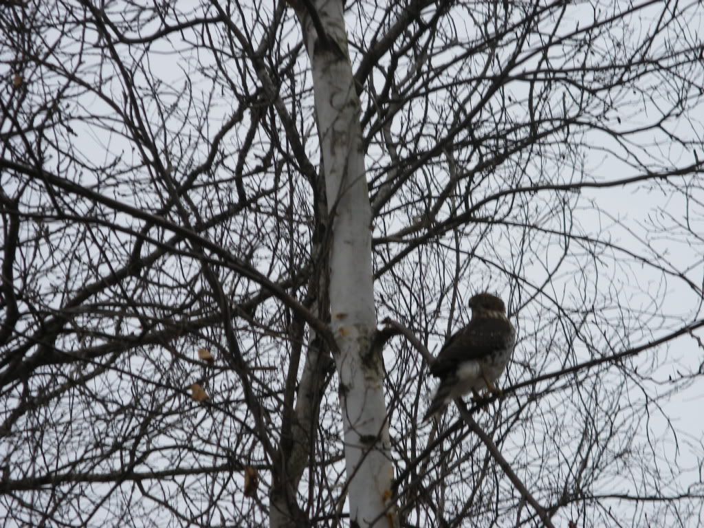 2011_01020024.jpg