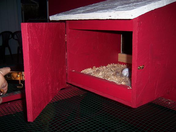 nestbox4.jpg