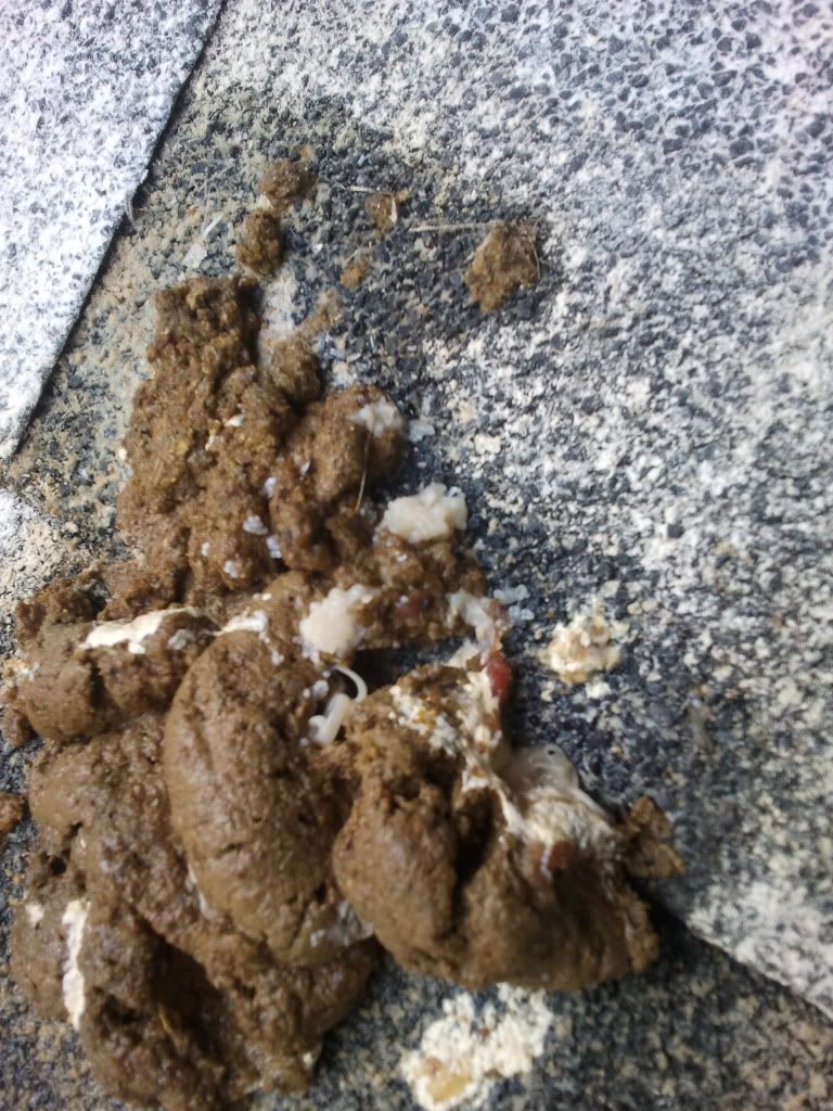 2011-07-07085555.jpg