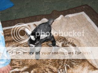 IMG_1463.jpg