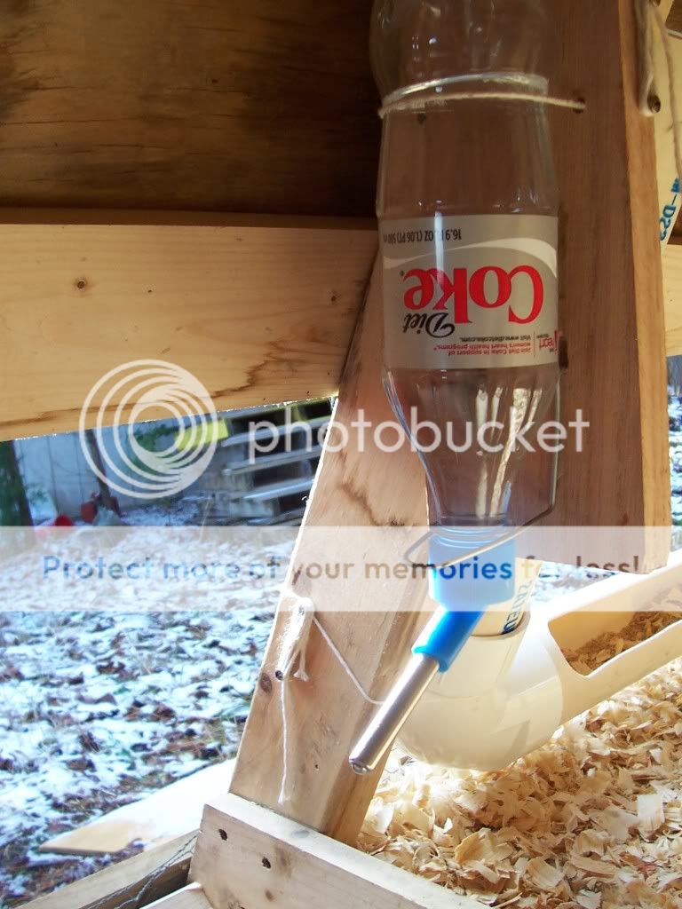 100_4330.jpg