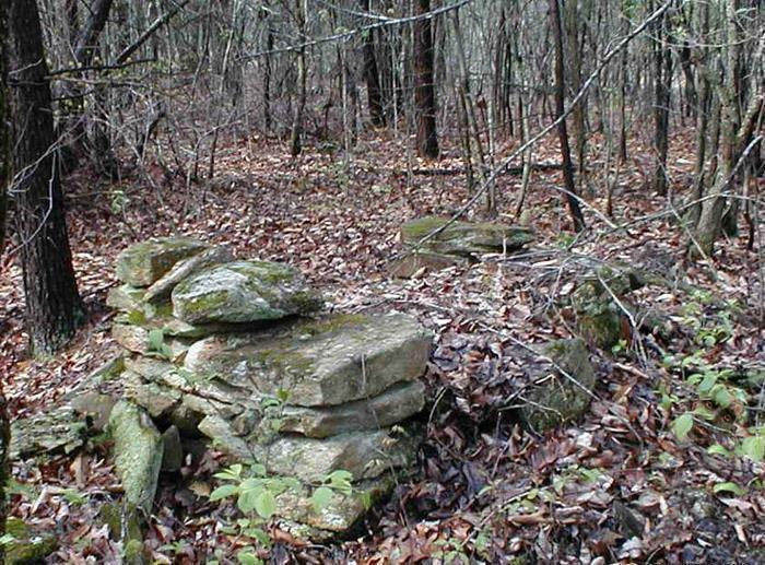 600x443px-LL-0a210444_1.jpeg
