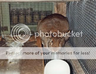 12-27-2008-19-10-01-609.jpg