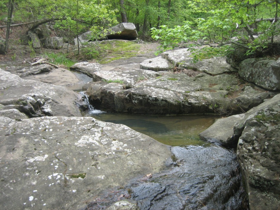 Robbers%20Pic%209216%20Mossy%20Ledge.jpg
