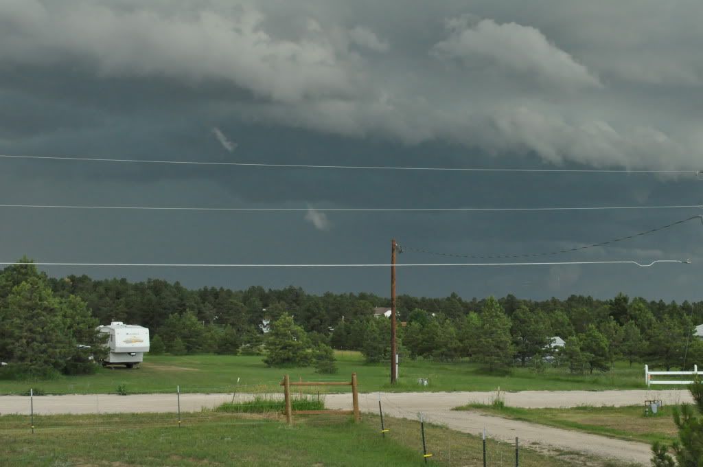 DSC_0015.jpg
