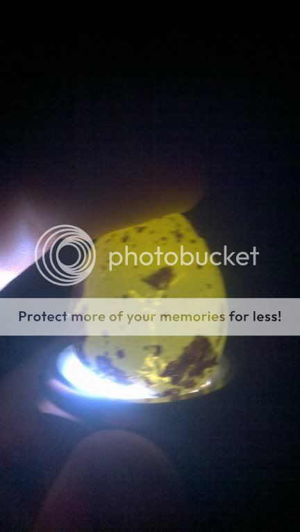 photobucket-5169-1321497707457.jpg