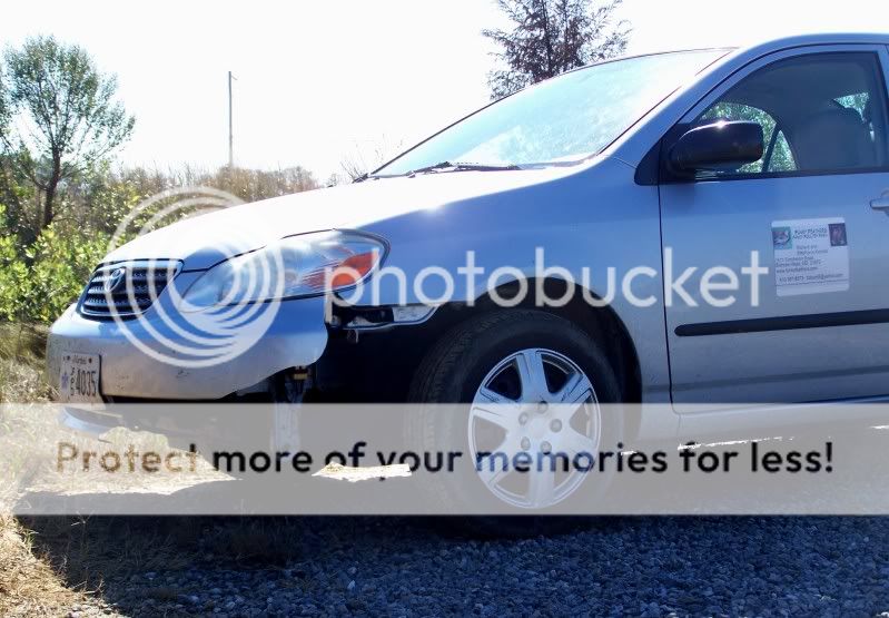 bumper2.jpg