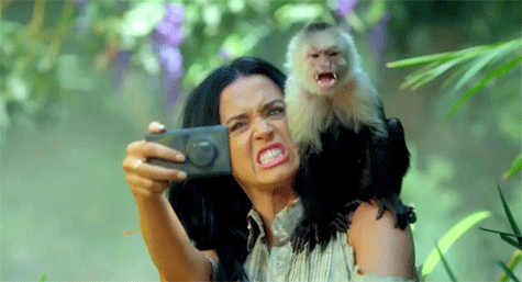 when-i-try-to-take-a-selfie.gif