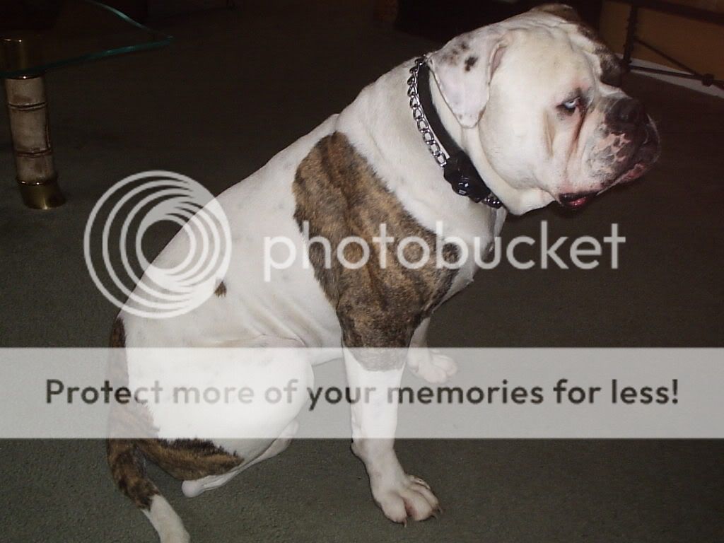 MyPictures200.jpg
