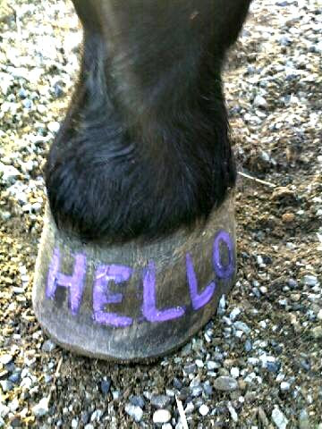 hello.jpg