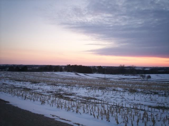 2-23-09039.jpg