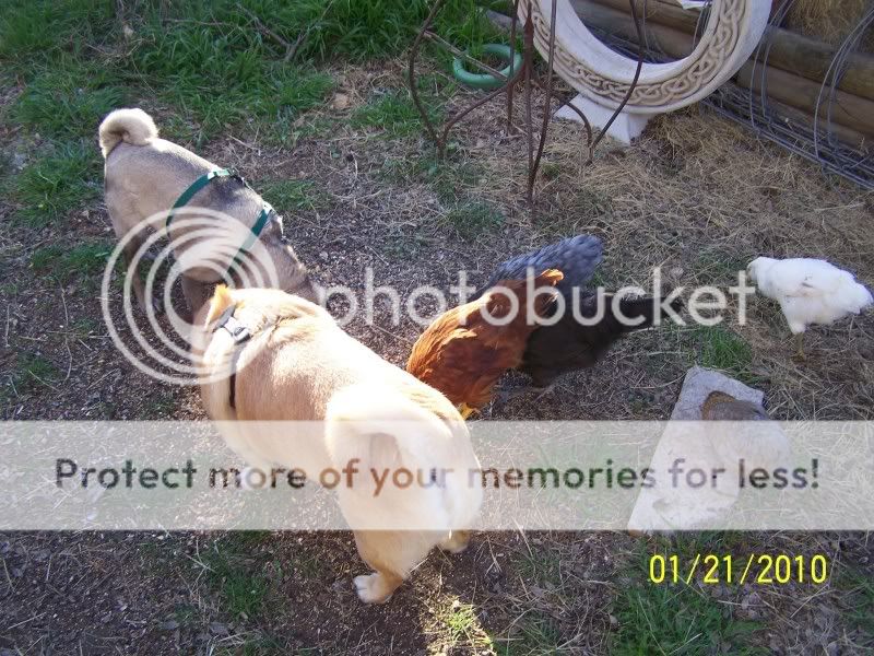 100_3889.jpg