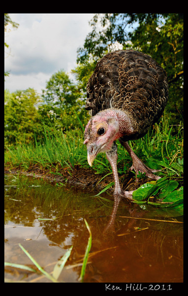 DSC9050-L.jpg