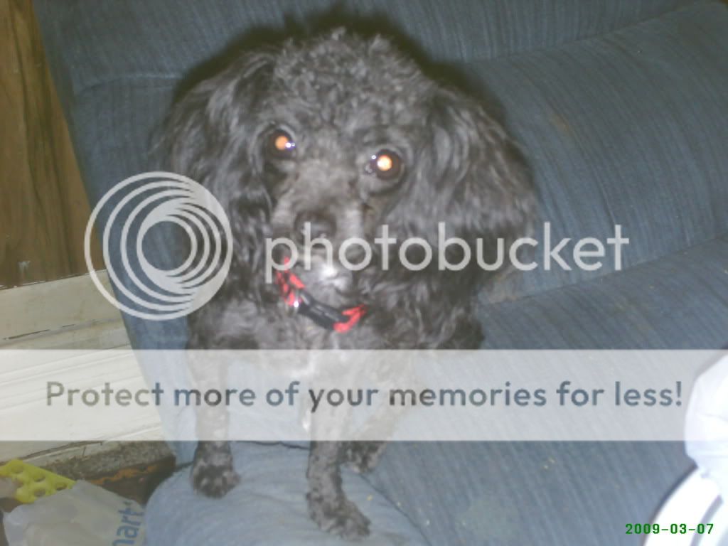 rubyspictures025.jpg
