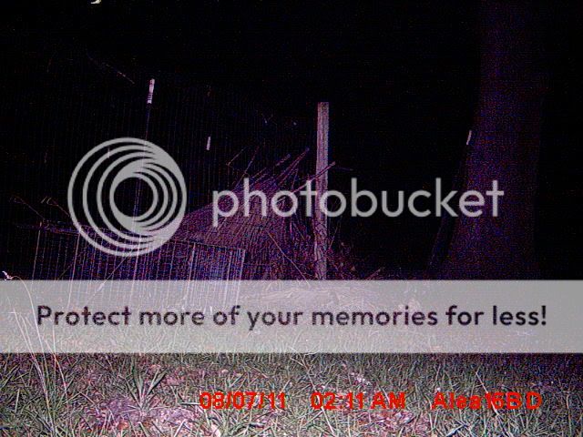 MDGC0008.jpg