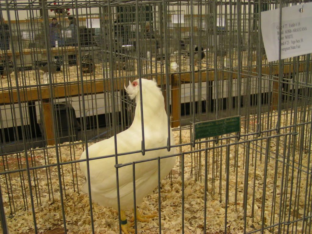 PICT0421.jpg