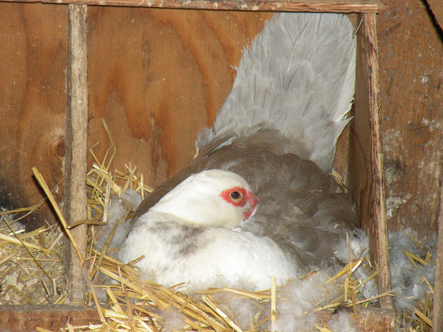 DSCN3639.JPG