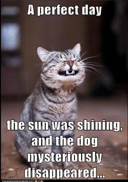 A+Perfect+day.jpg