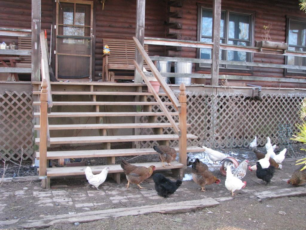 beakerpics001.jpg