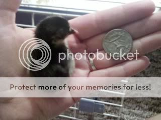 2011-05-19_12-40-41_2641.jpg