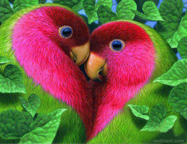 beautiful-parrot.jpg