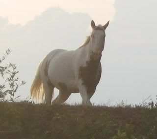 07-27-201042.jpg