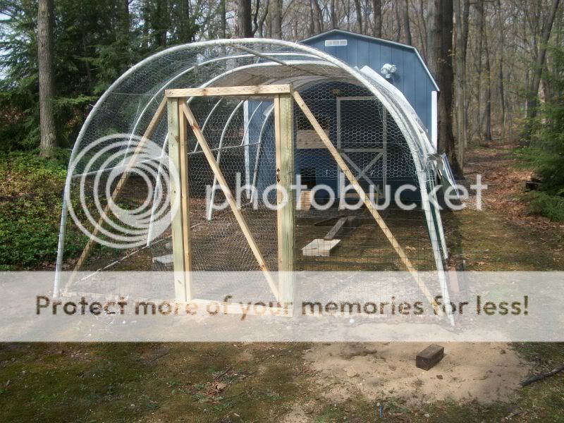 chickenshouse098.jpg