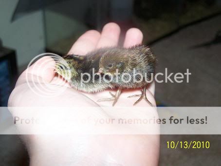 100_6086.jpg
