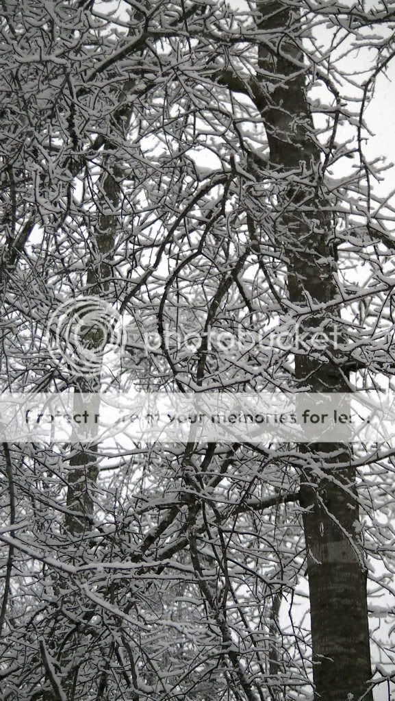 KeepSnowDay4.jpg