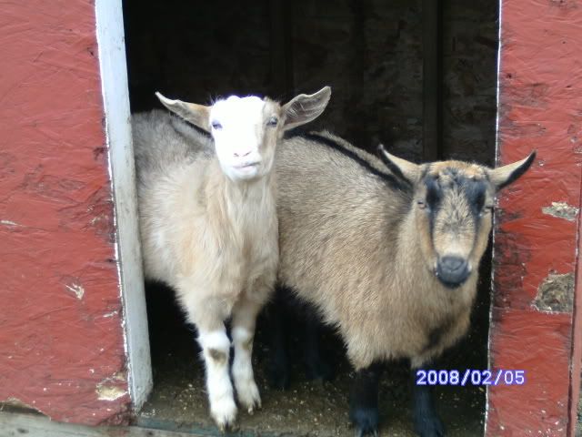 PICT0098.jpg
