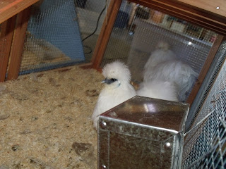 DSCF2709.JPG