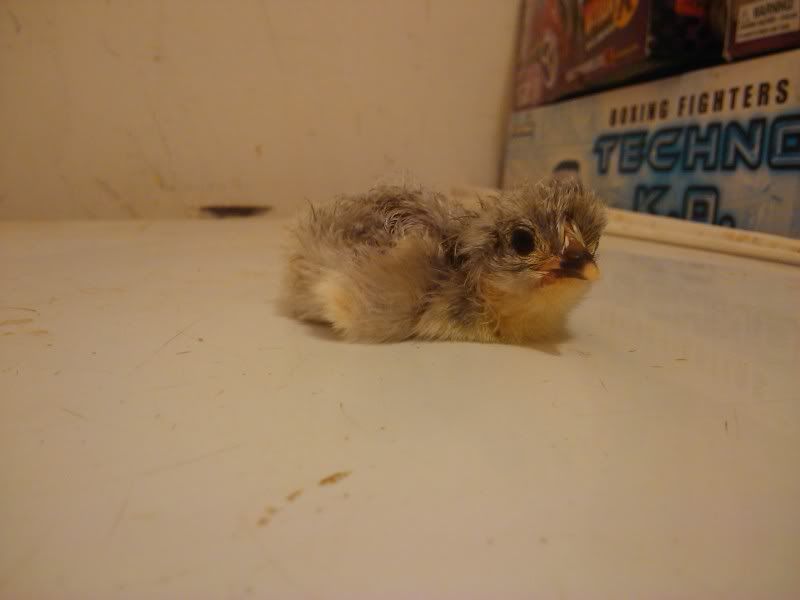 2011-05-01213628.jpg