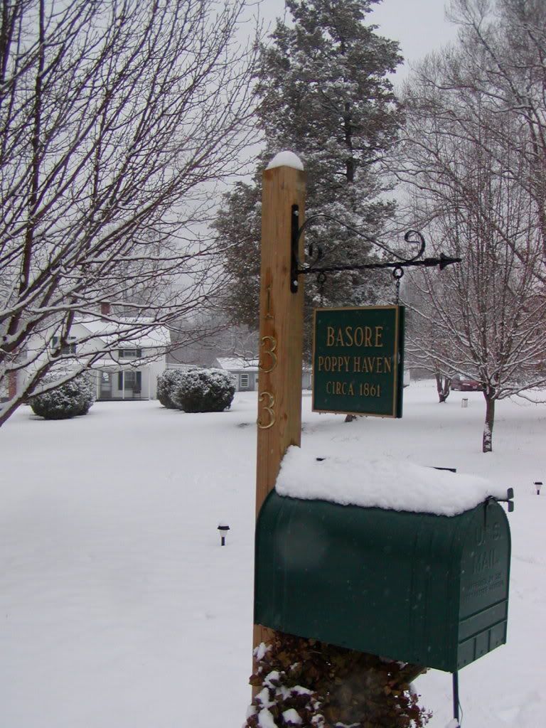 1stsnowJan080014.jpg