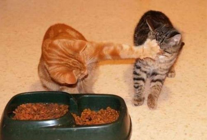 its-mine.jpg