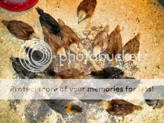 IMG_0521_edited-1.jpg